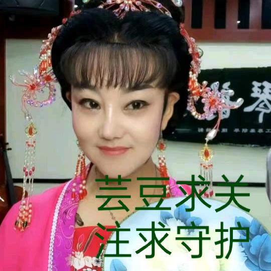 黄梅戏芸豆