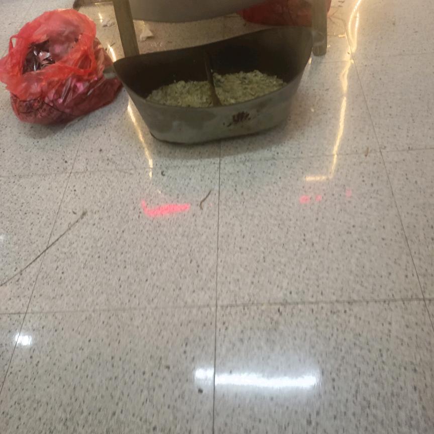 长江