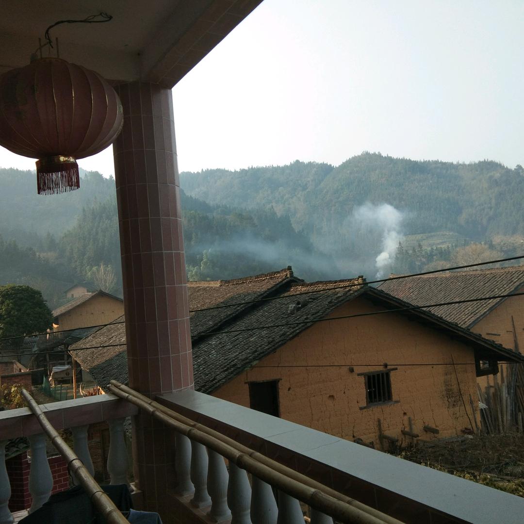 贴砖哥