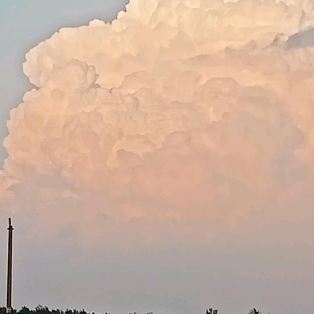 爱吃棒棒糖的盼盼