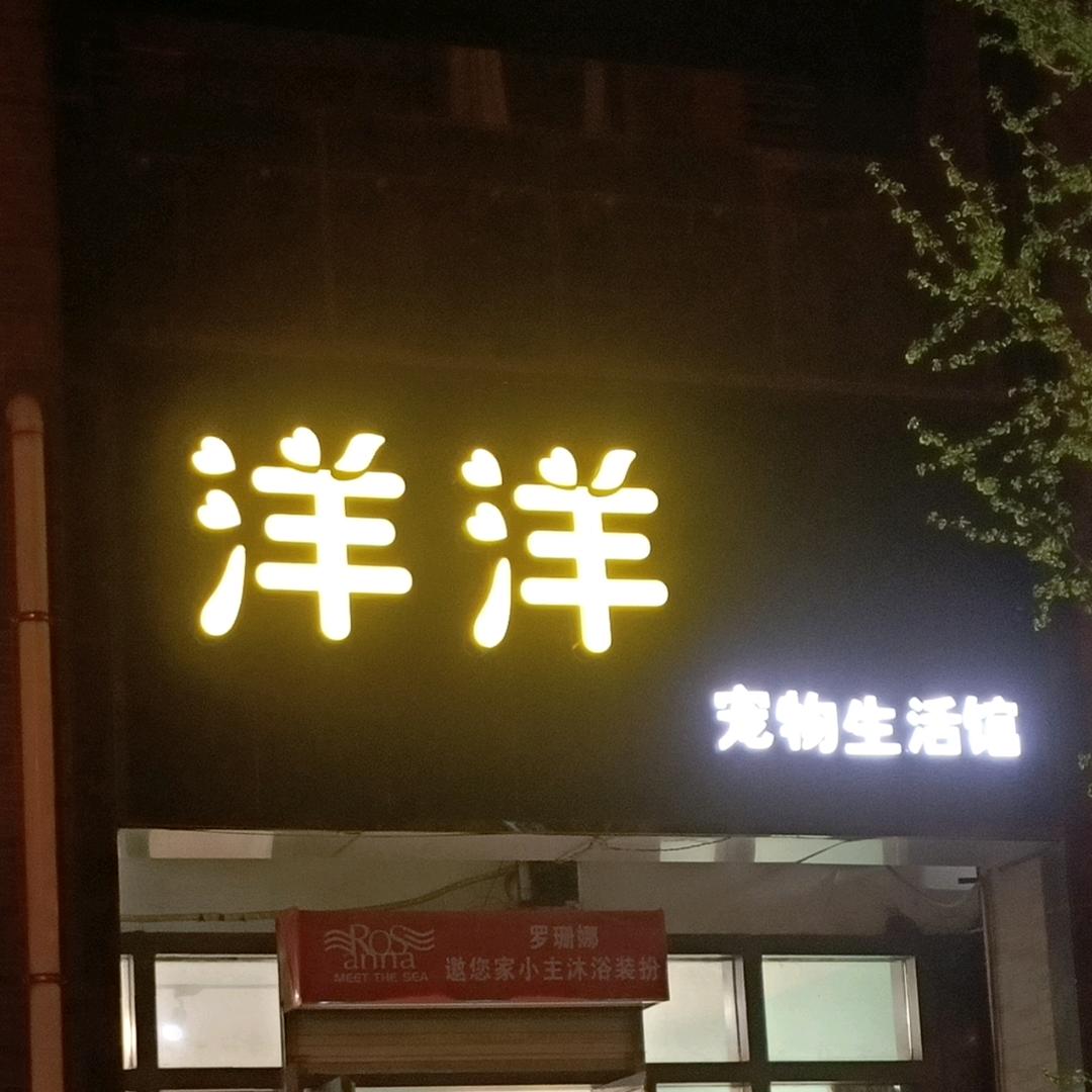 洋洋宠物生活馆