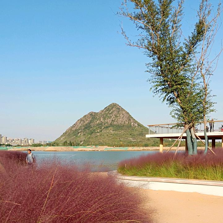 炫鸿