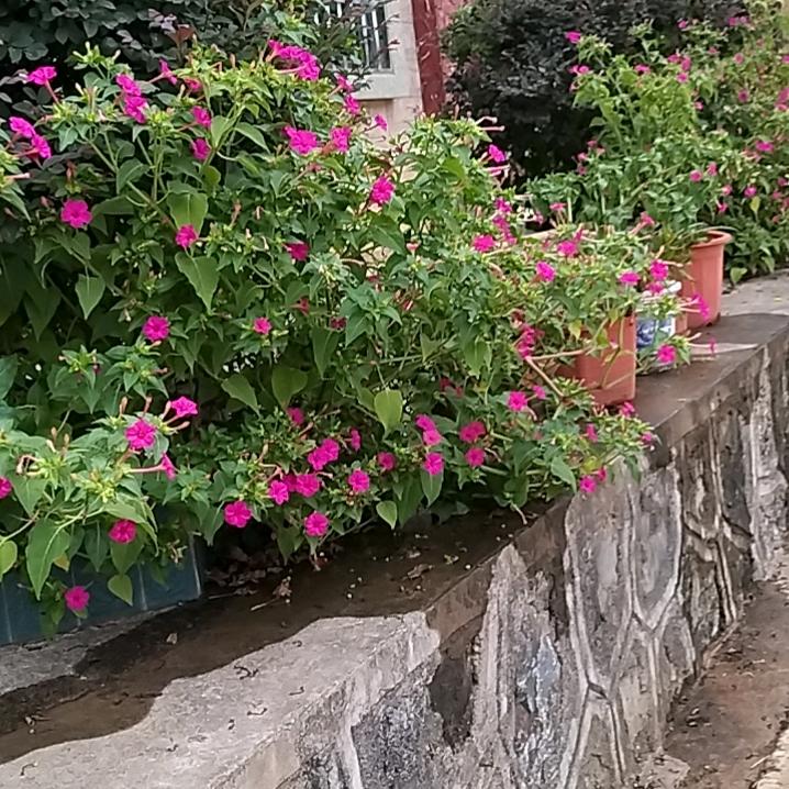 蒋振涛