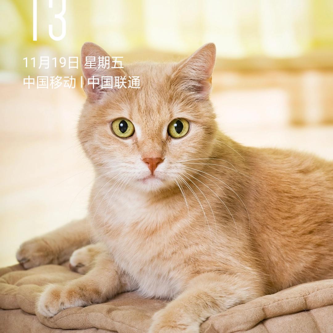 忘掉过去