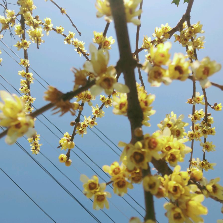 先谋生，再谋爱