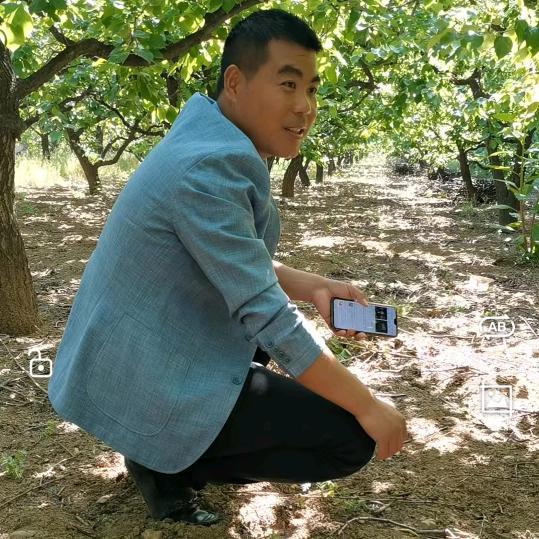 周丁明(丁明国学)