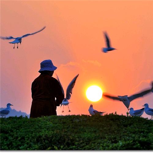夕阳西下