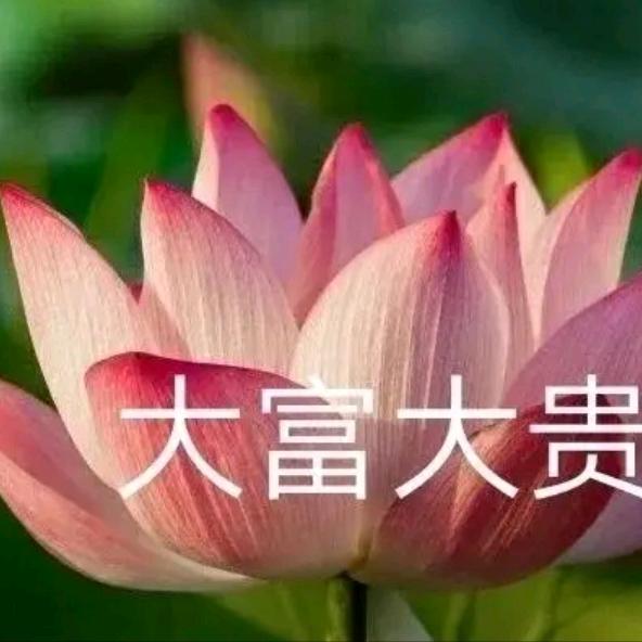 农村的老太婆