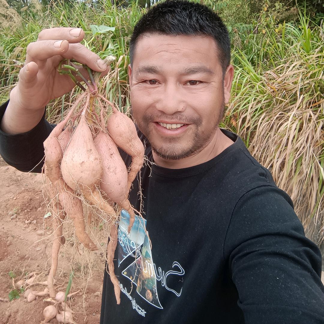 又一村生态🇨🇳田园生活
