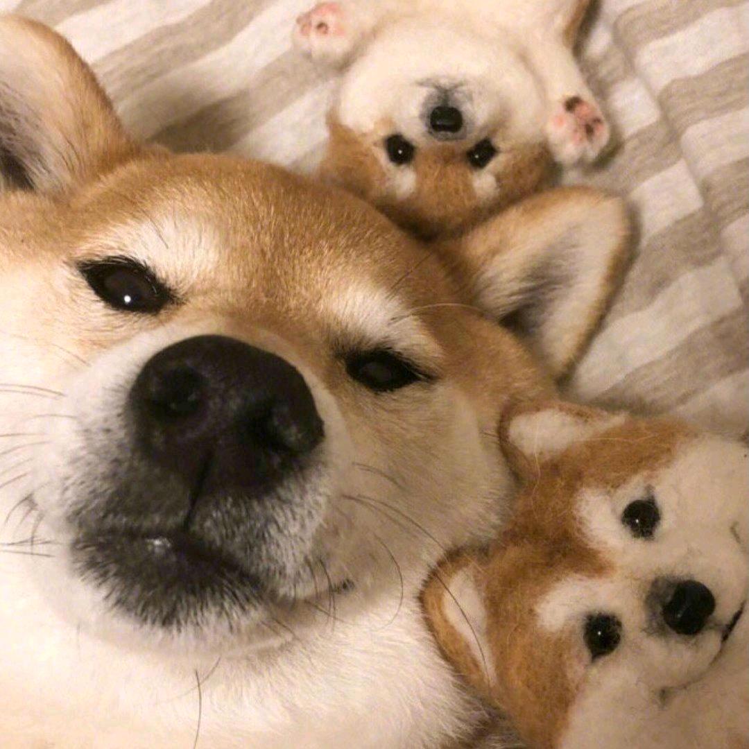 仲未想好名纸