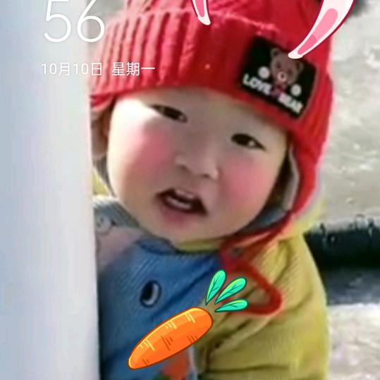 洪汉莲