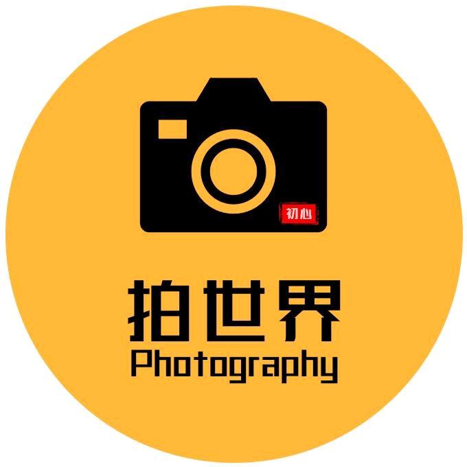 白鲨