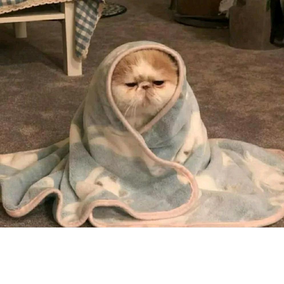 太阳不要晒我头像