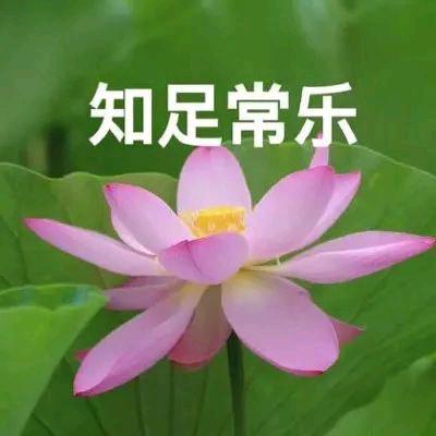 周小梅