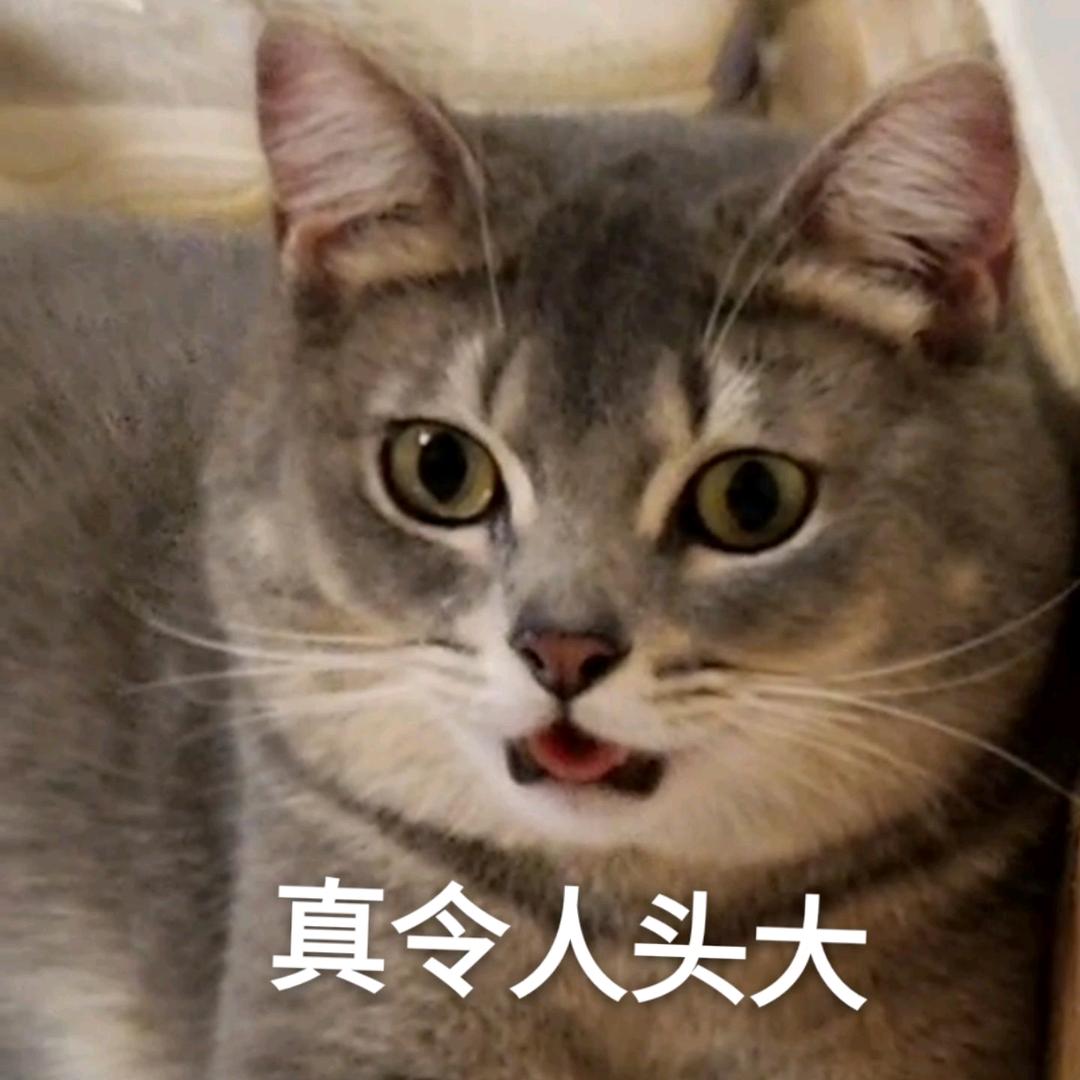 难兄难弟