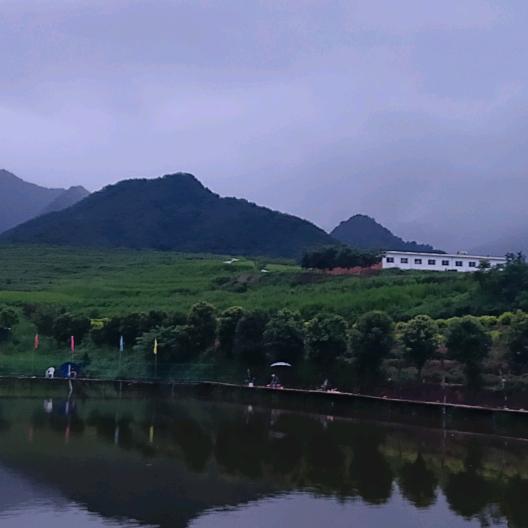 噢噢