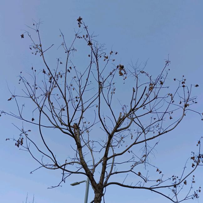 ✨兜兜里有糖🍭