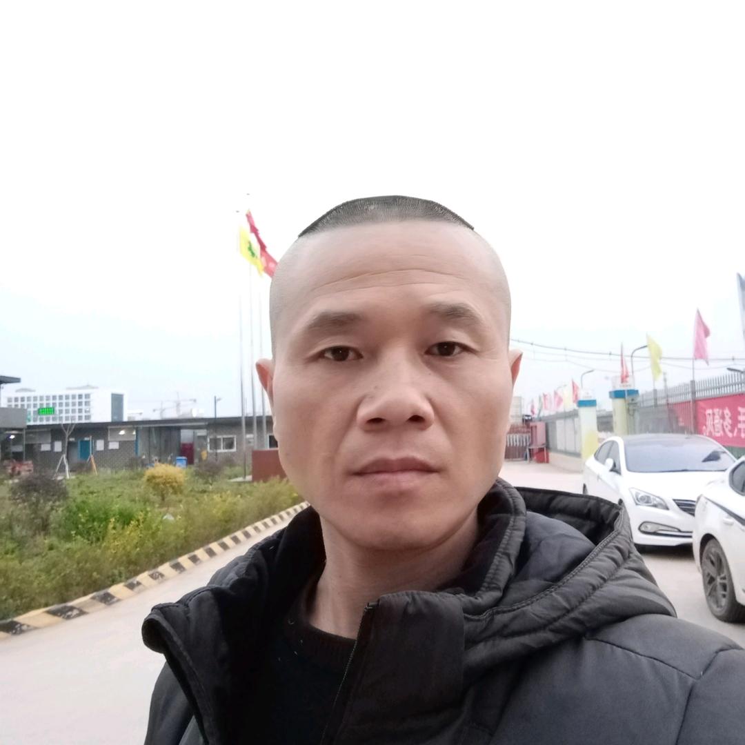 小刺猬音乐分享