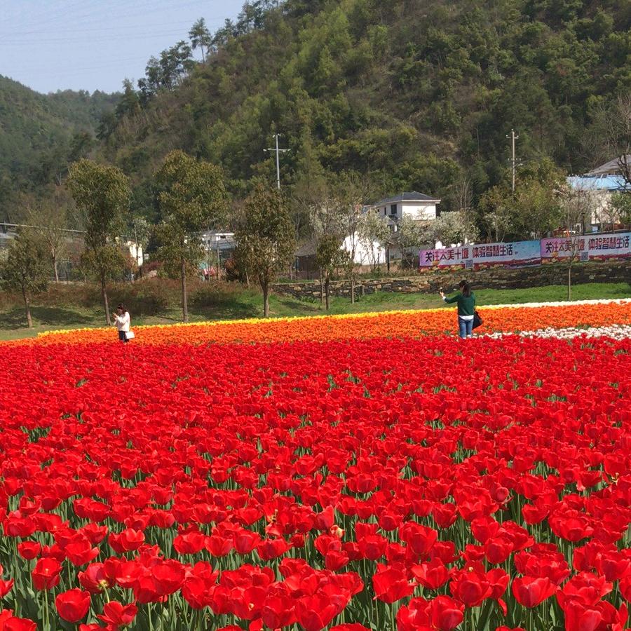 用户4728664179030往事如烟