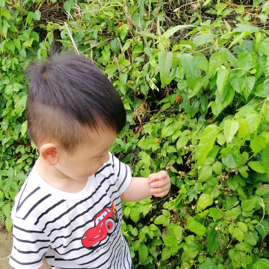嘉煦英语课