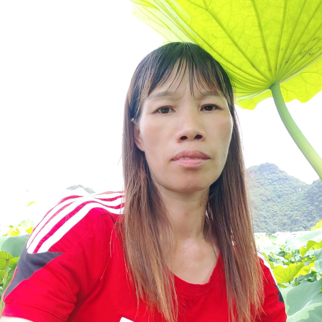 盆中无花