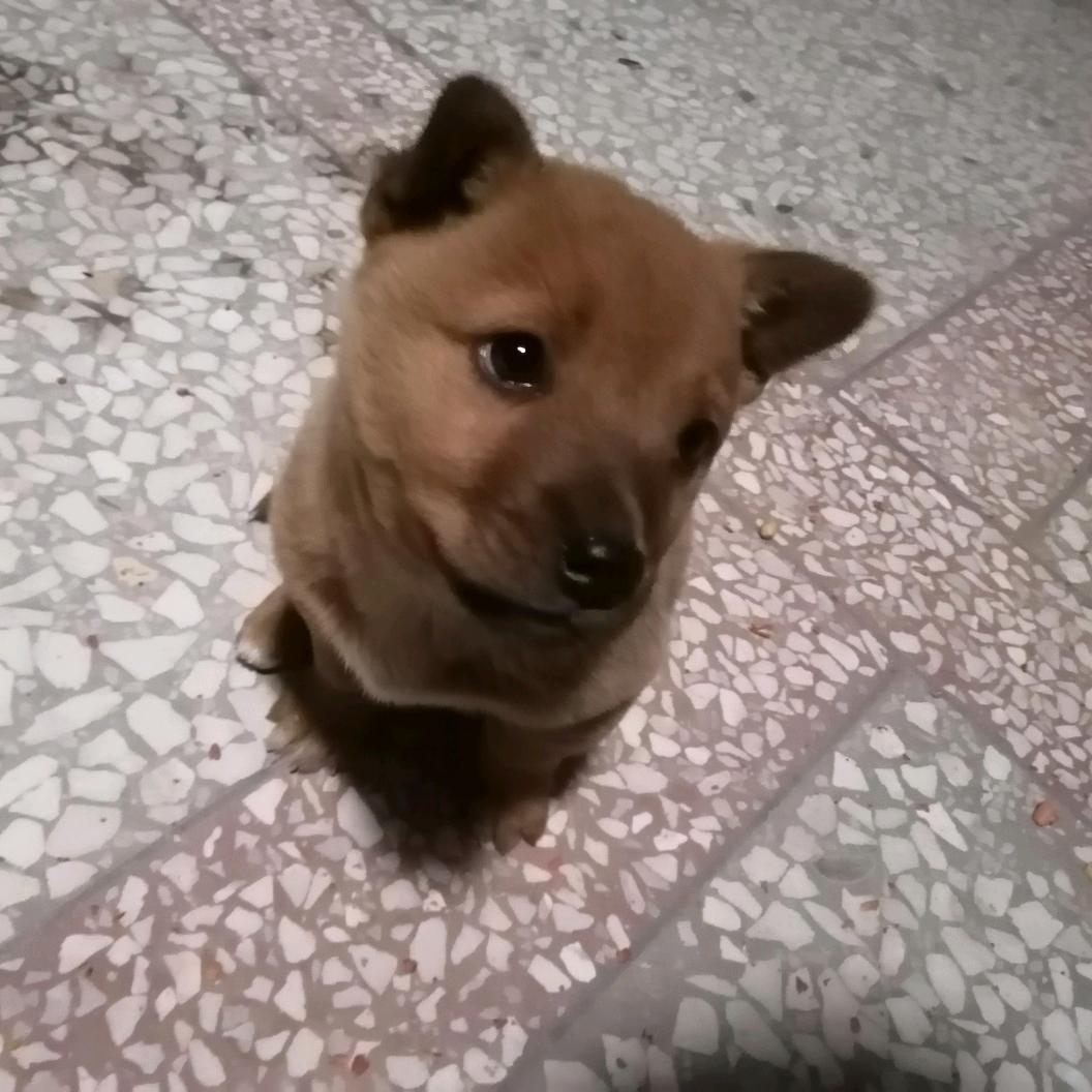 蚝无忍性