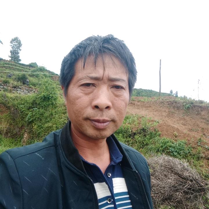聂哥哥