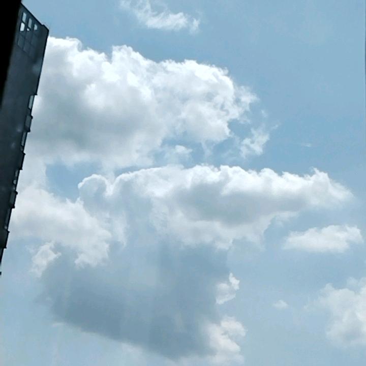 沐浴阳光，，，