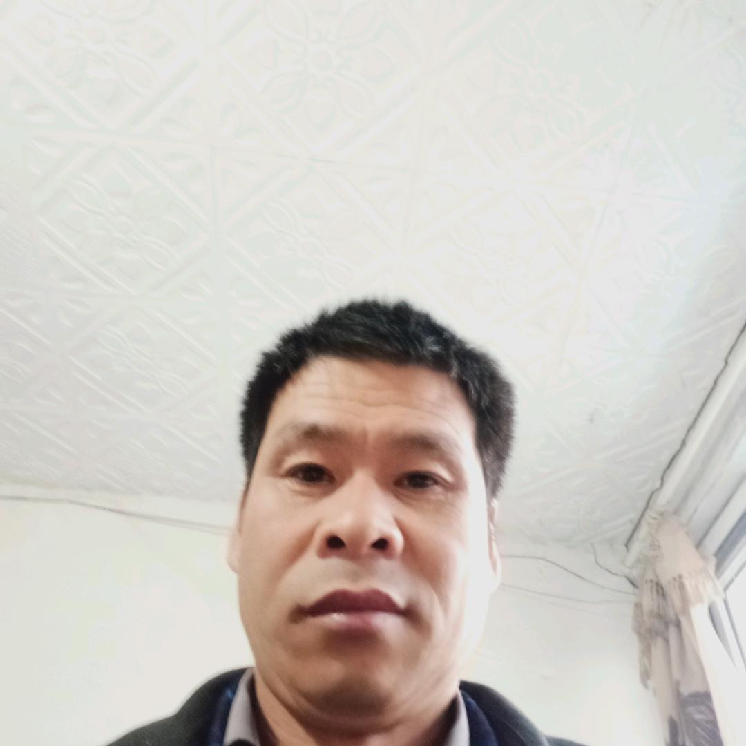 河南老李