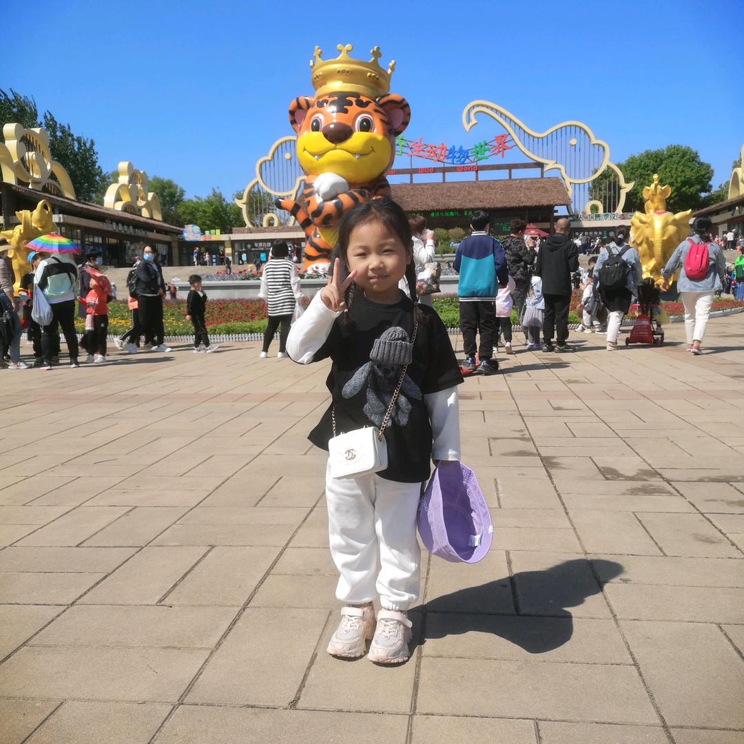 三思后行       　　　　　　༽