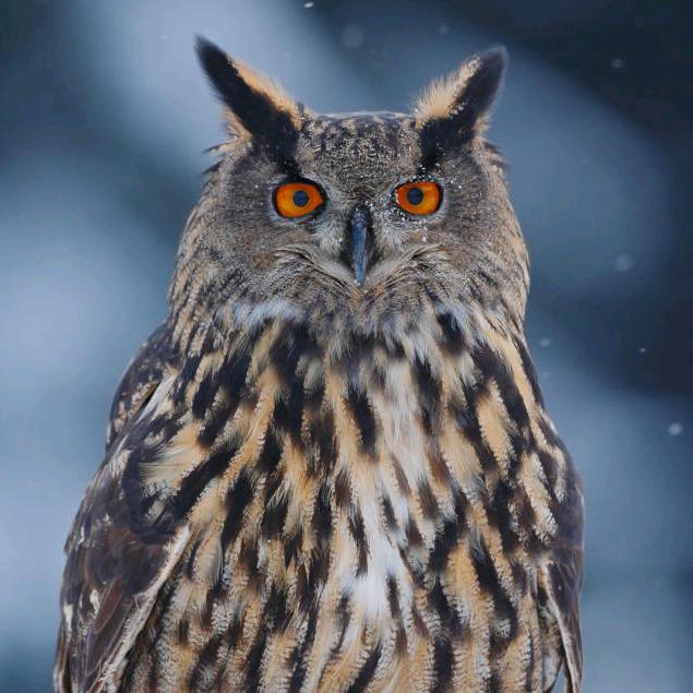 山里人！！！！！！