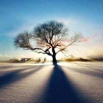 万里长城永不倒