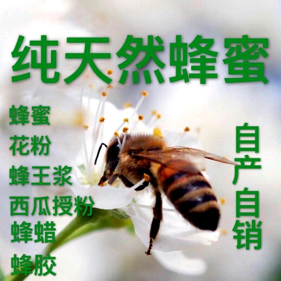 魏希新