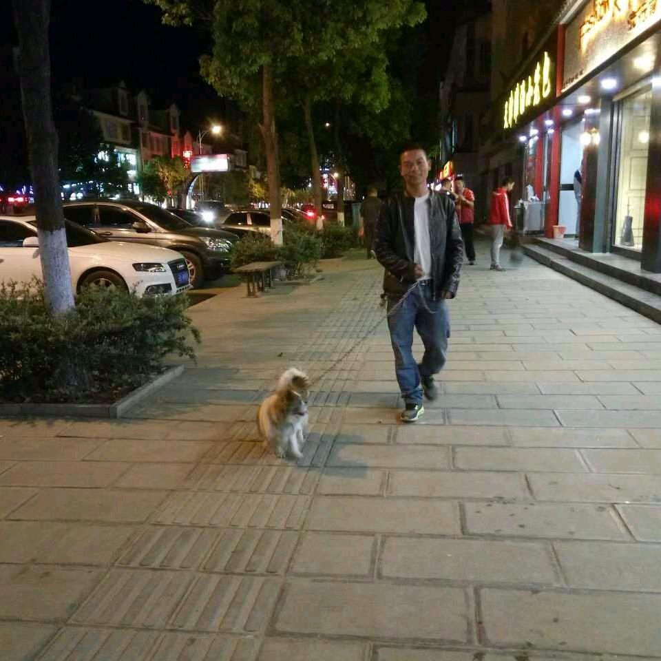 张三丰