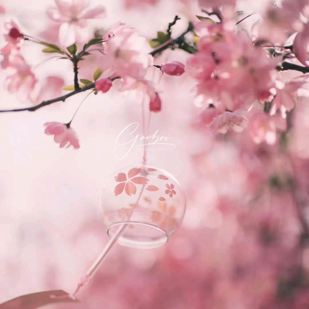 黄馨卉