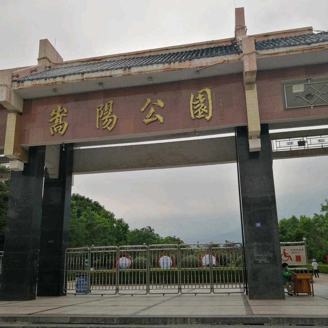 龍哥