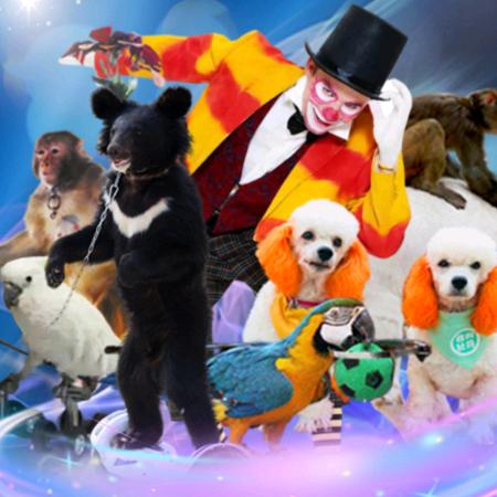 磊哥·马戏鸟艺表演