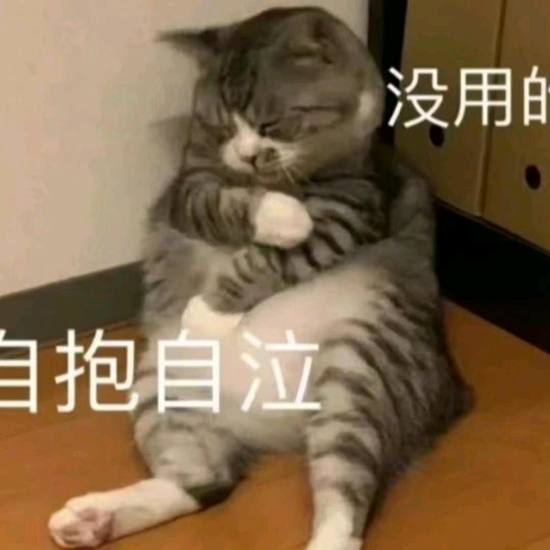 吃饭了叫我