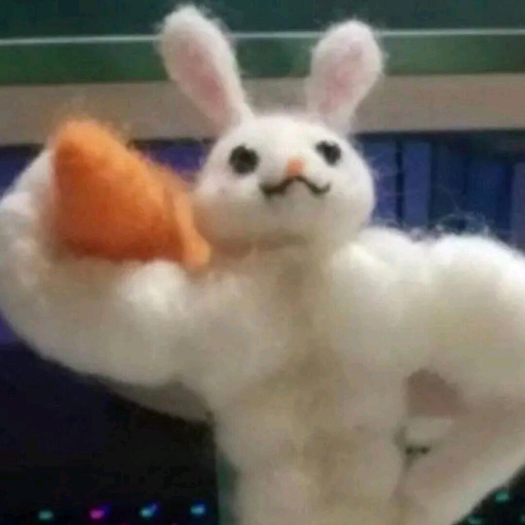 粗五谷鱼粉太