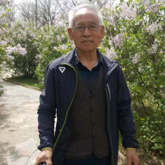 活泼橙子TIu