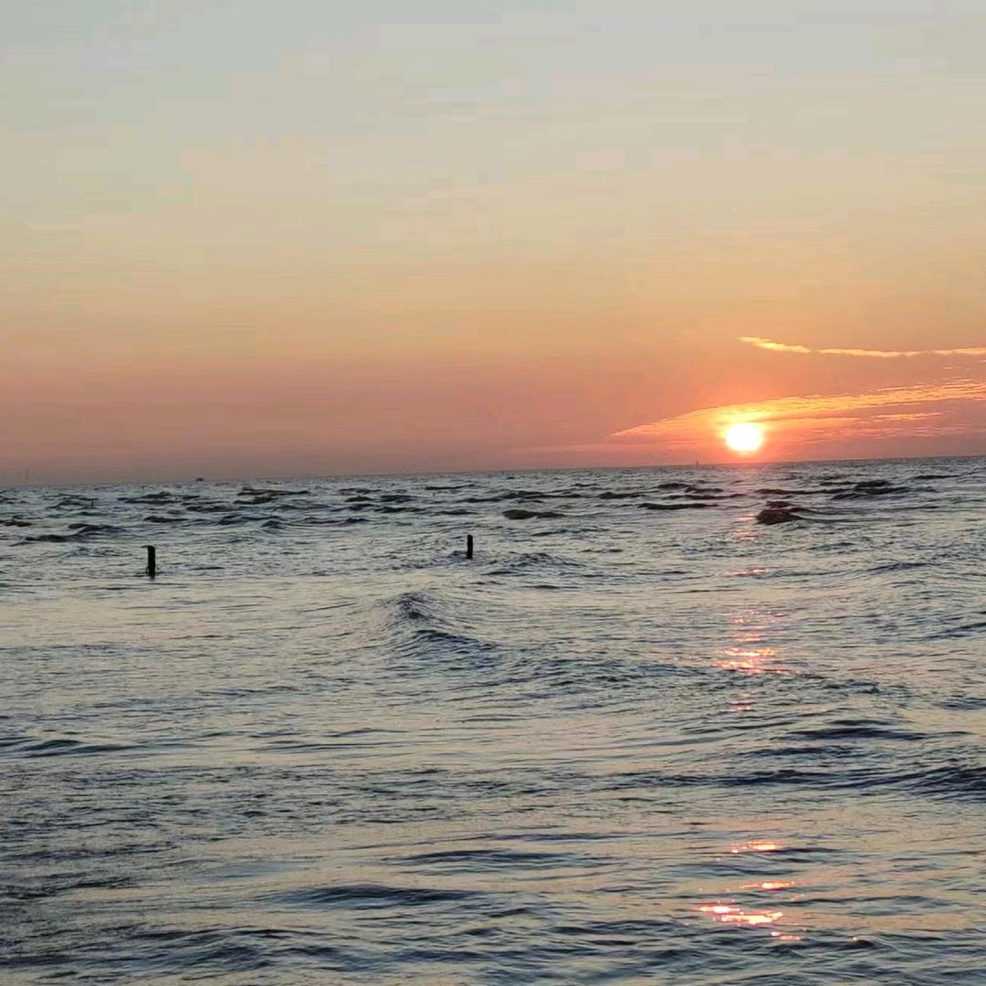 珍灵🎤🎸🇨🇳