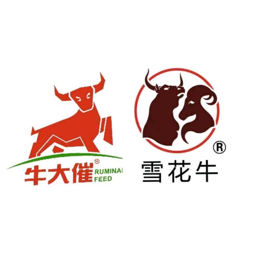 牛🐮羊🐑司 令