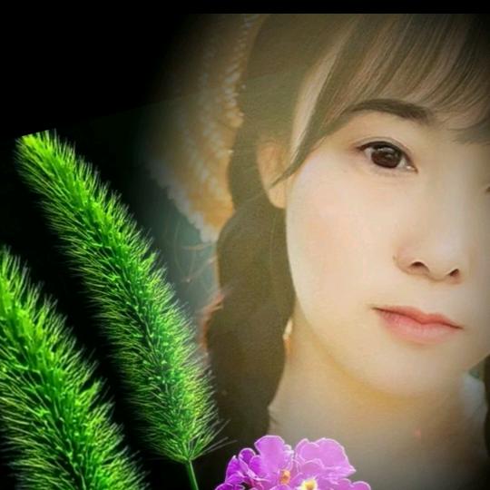 （❤摘️星辰）