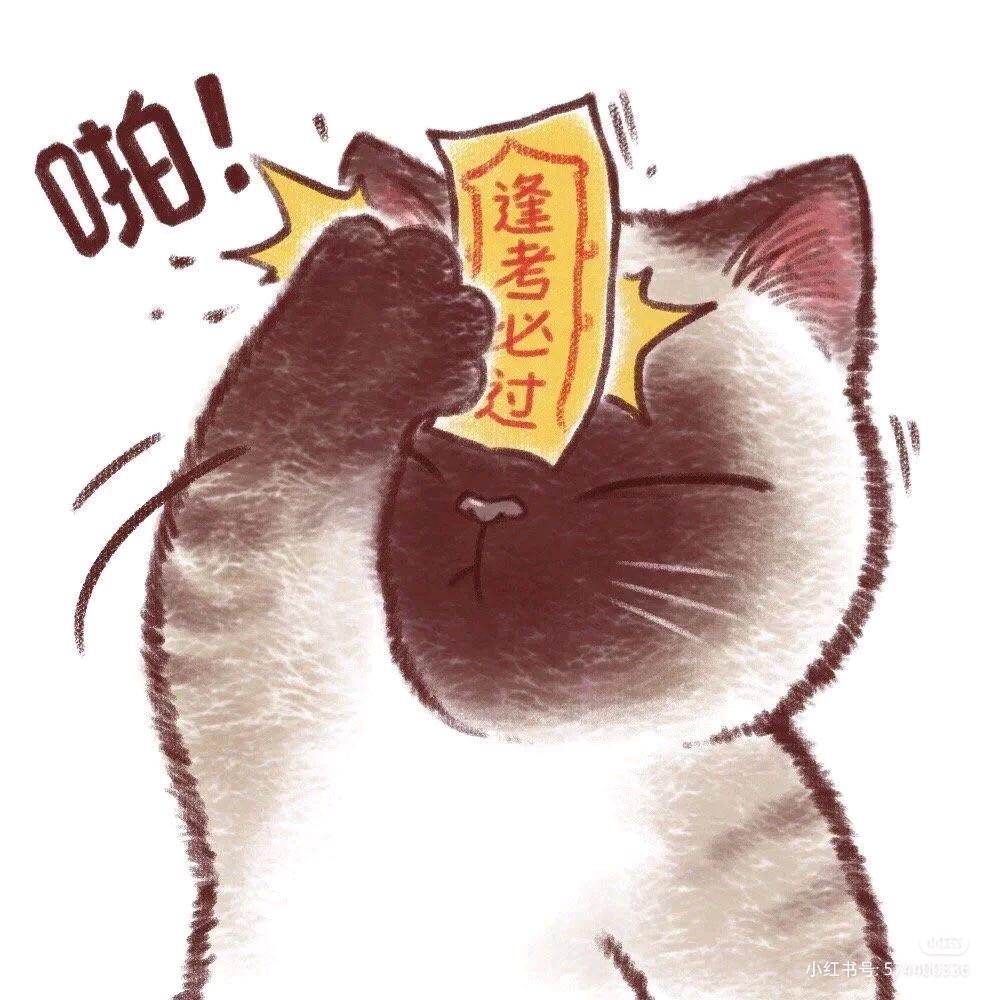 一只爱学习的喵