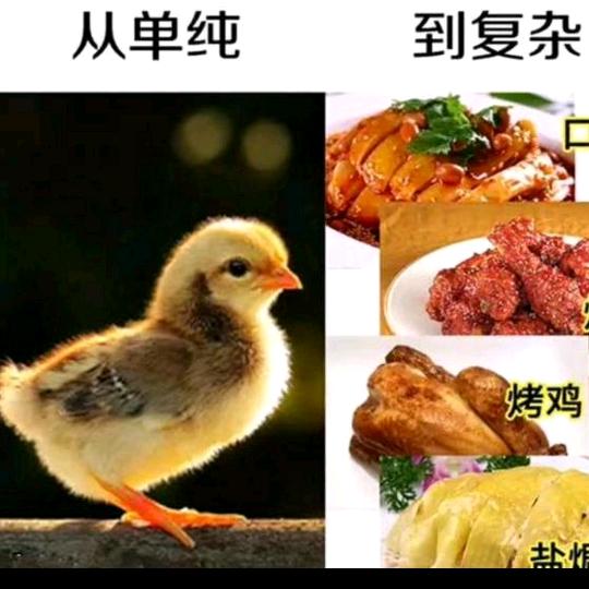 寻味烧鸭店
