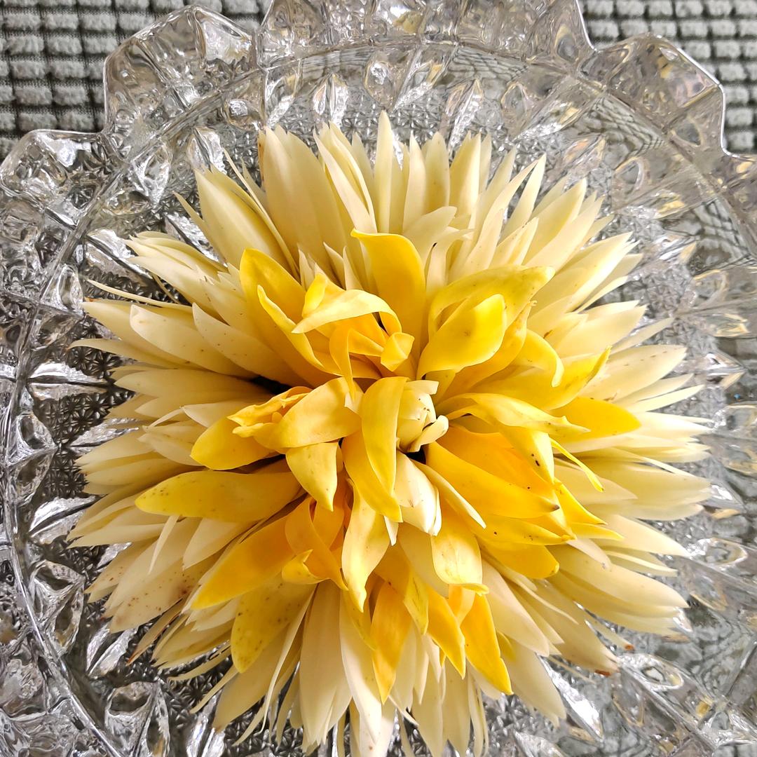 春暖花不开