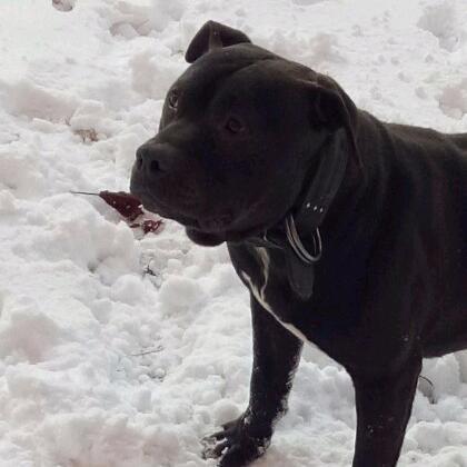 保税区休闲钓场