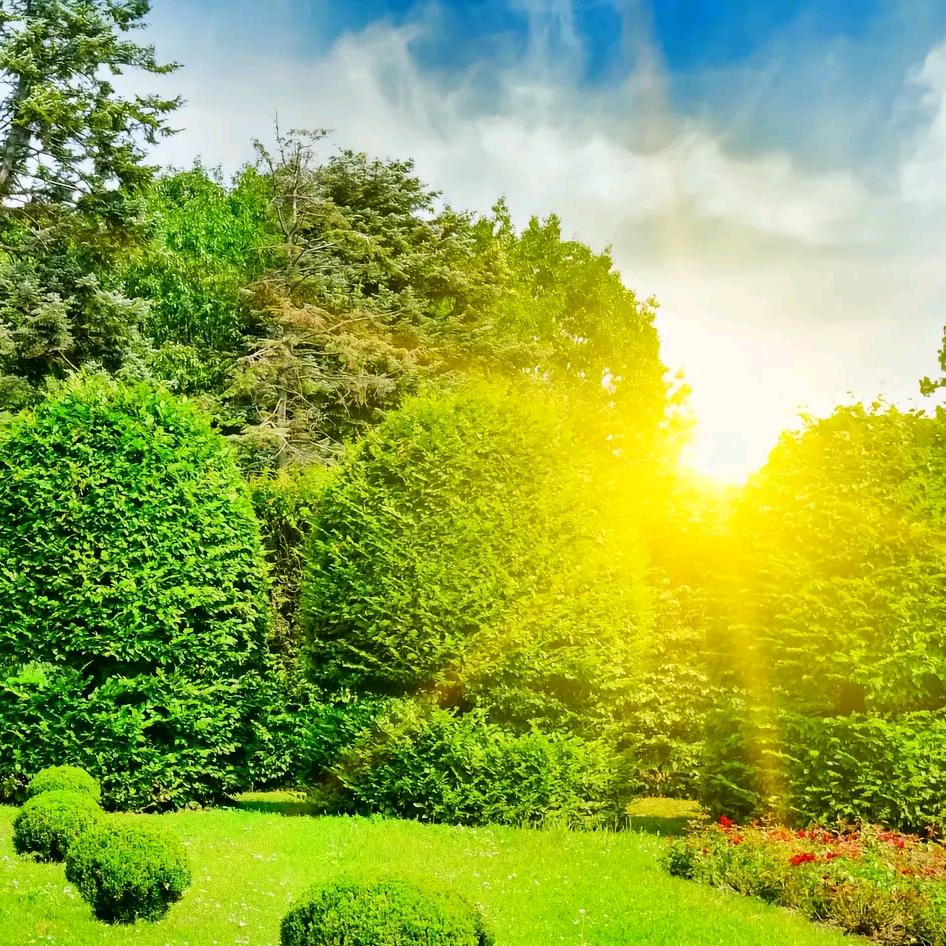 酸奶罐子◆干噎酸奶即墨宝龙店(南门外面)