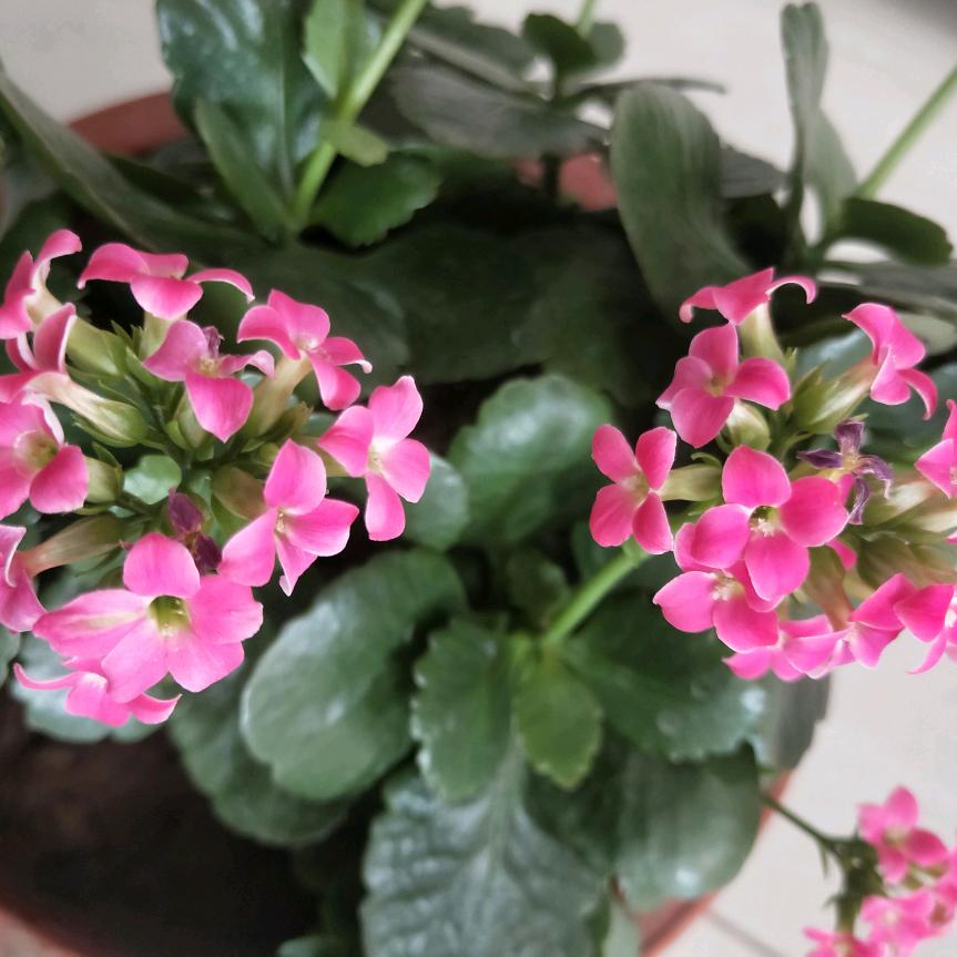 怎么开心怎么活