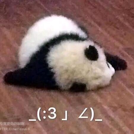 小鸳睡不着qwq